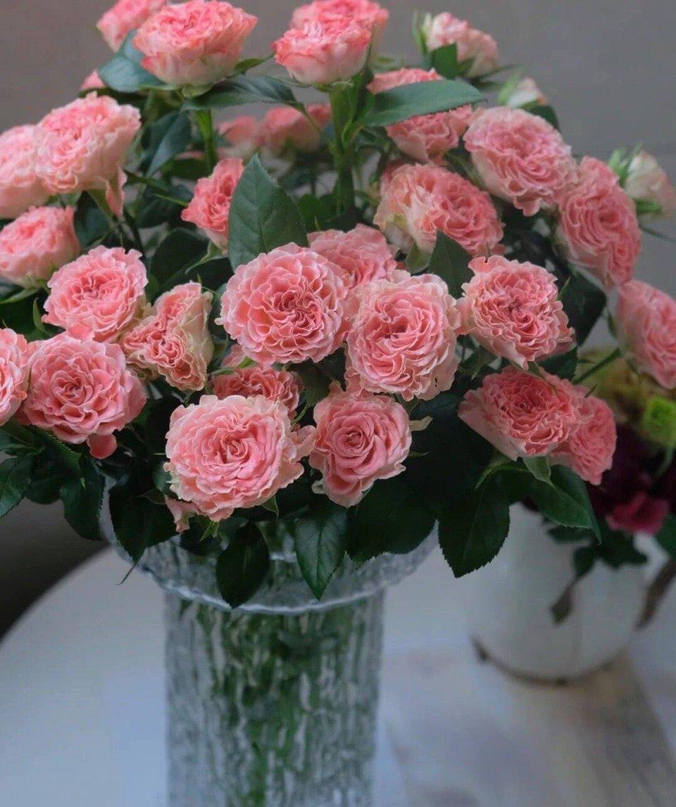 Tử vi hôm nay 30/7/2022 của 12 cung hoàng đạo