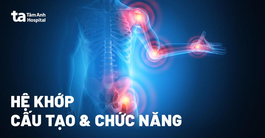 Khớp là gì? Cấu tạo, chức năng của hệ khớp với cơ thể người