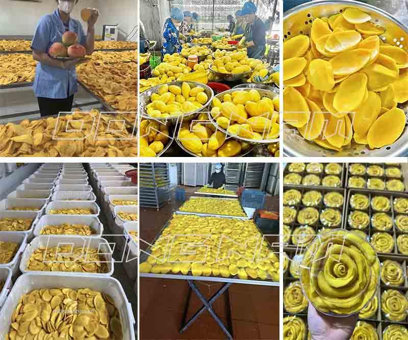 Cách làm xoài sấy muối ớt, xoài sấy dẻo kinh doanh cực ngon