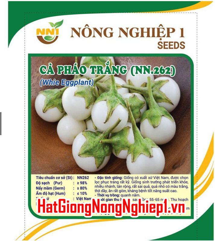 Hạt giống Cà pháo trắng sao trái chùm Thái Lan
