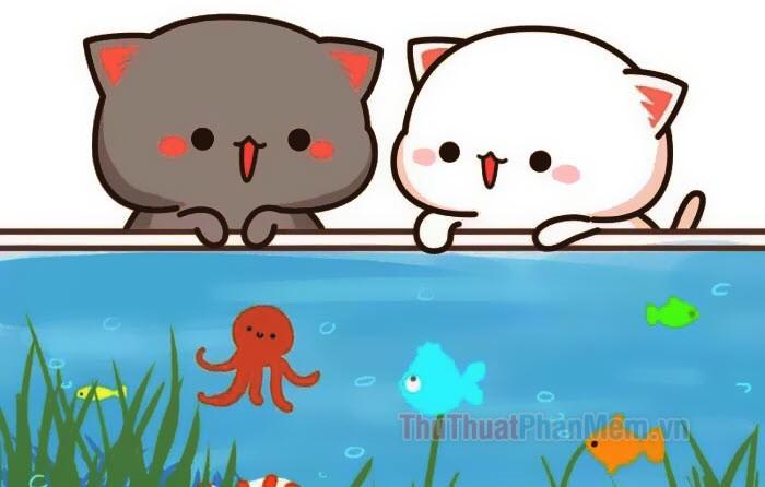 199+ meme ảnh mèo cute trái tim, ngầu, dễ thương, ngộ nghĩnh, đen đẹp