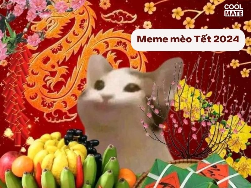 meme-meo-cute-hai-huoc-1297