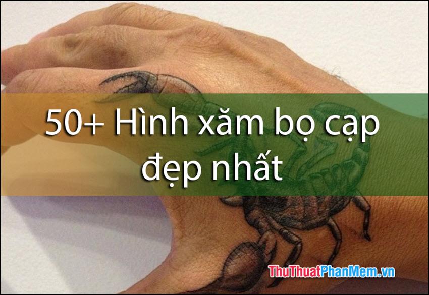 Khám phá vẻ đẹp và ý nghĩa trong hình xăm cung Bọ Cạp