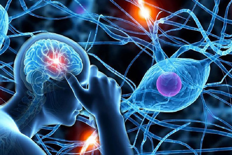 Khoa nội thần kinh là gì? Trường hợp nào cần đi khám khoa nội thần kinh? 2