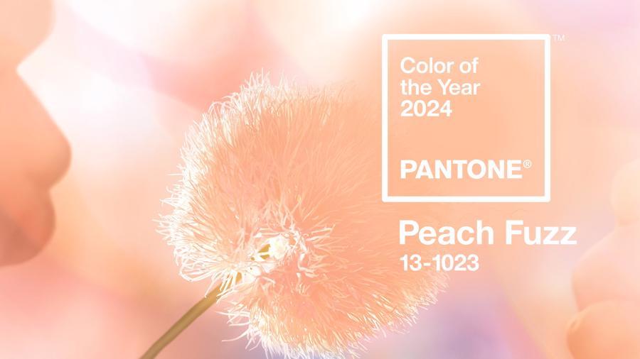 Hồng cam đào – màu sắc của năm 2024 trong lĩnh vực thiết kế tóc