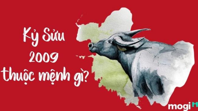 Sinh năm 2009 mệnh gì? Tổng quan về cuộc đời, tính cách, số phận