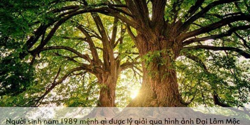 1989 tuổi con gì? Ý nghĩa và sự thú vị trong văn hóa Á Đông