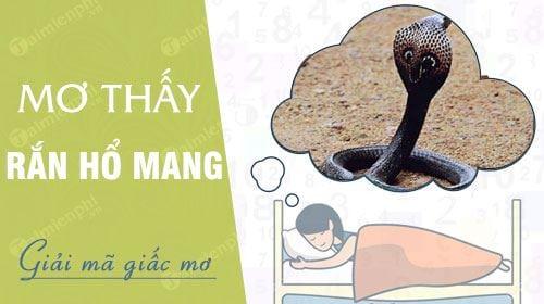 Nằm Mơ Thấy Rắn Hổ Mang