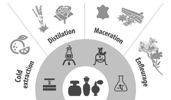 BỘ KIT LÀM NƯỚC HOA HANDMADE TỪ TINH DẦU THIÊN NHIÊN