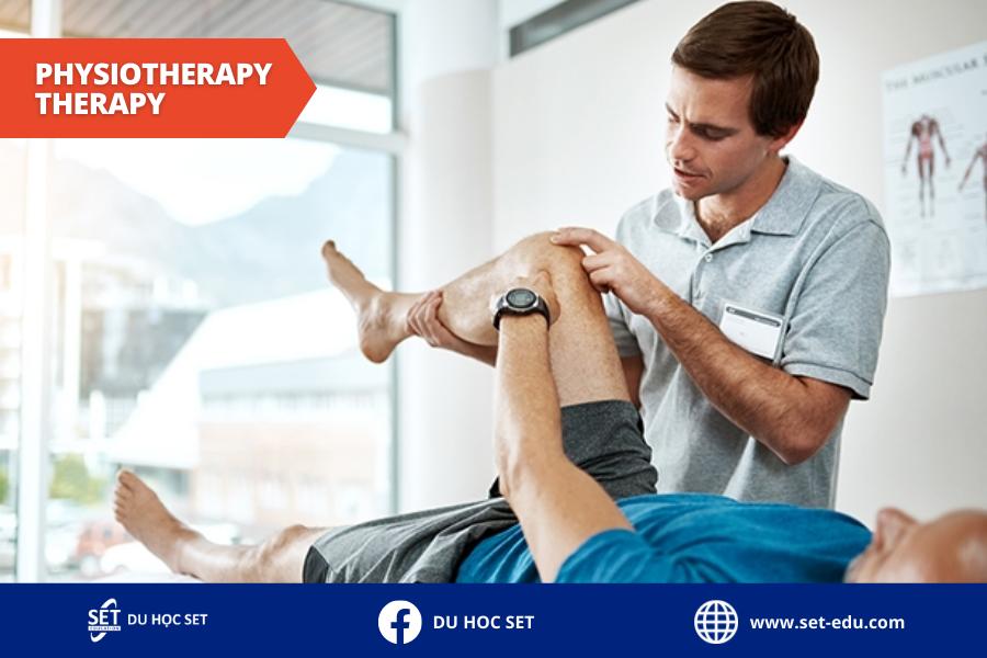Phân biệt ngành Physiotherapy therapy và Occupational therapy – Một số trường tiêu biểu