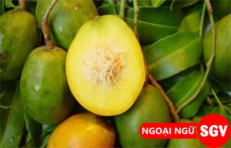 Trái Cóc trong Tiếng Anh là gì: Định Nghĩa, Ví Dụ Anh Việt