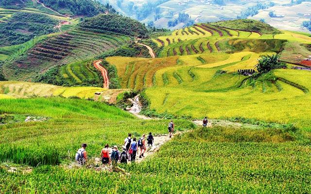 Du lịch Sapa mùa hè có lạnh không? 6 điểm nghỉ mát siêu hot