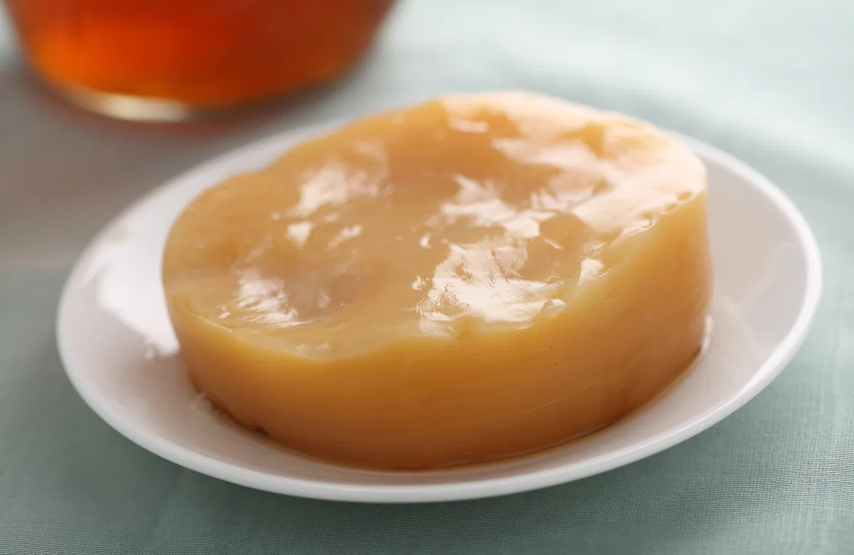 Scoby là gì? “Bí mật” của thức uống lên men Kombucha bổ dưỡng