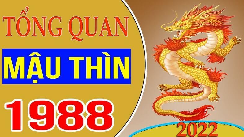 {Tử vi tuổi Thìn năm Nhâm Dần 2022}