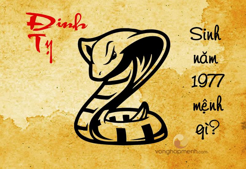Sinh năm 1977 mệnh gì? Phối đồ cho nam 1977 hợp mệnh