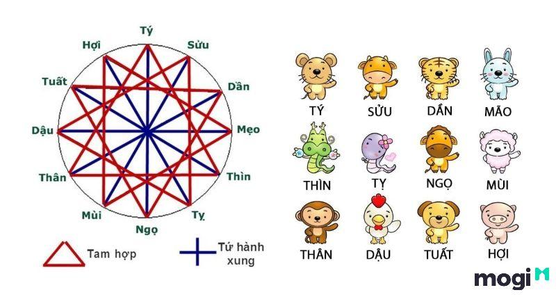 Khám phá những sự thật thú vị của tam hợp Dần – Ngọ – Tuất