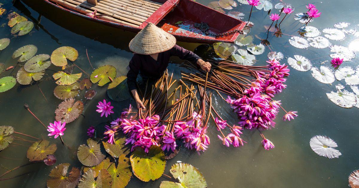 101 Từ vựng tiếng Anh chuyên ngành du lịch thông dụng cần nhớ