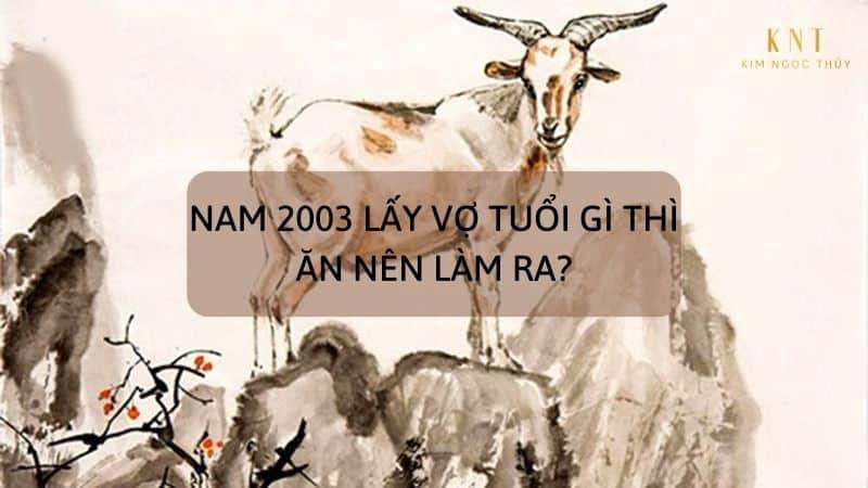 Tuổi Quý Mùi 2003 mệnh gì, hợp tuổi gì?