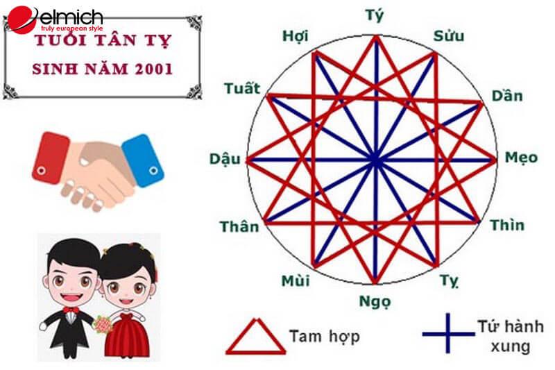 Tuổi Tân Tỵ 2001 mệnh gì, hợp màu gì?