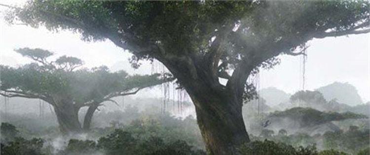 Vòng Huyết Rồng – chọn Gỗ Chuẩn – và hạp mệnh