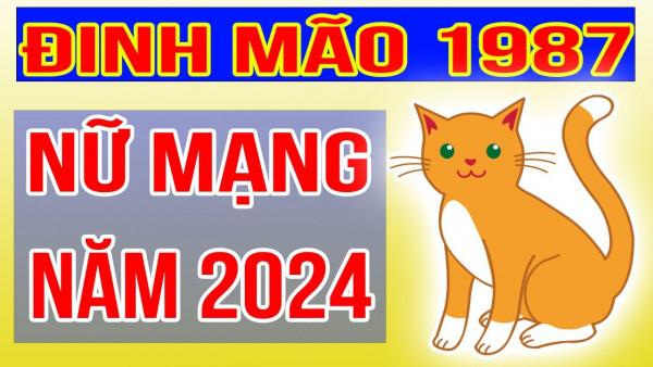 Xem chi tiết tử vi tuổi mão 1987 năm 2024 nữ mạng