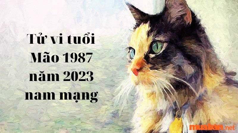 Tử vi tuổi Mão 1987 năm 2023 nam mạng