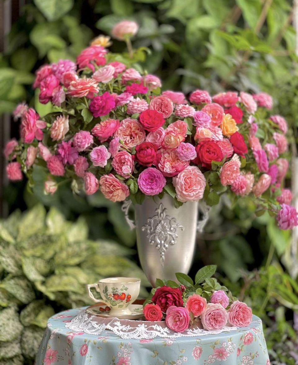 Tử vi hôm nay 29/10/2022 của 12 cung hoàng đạo