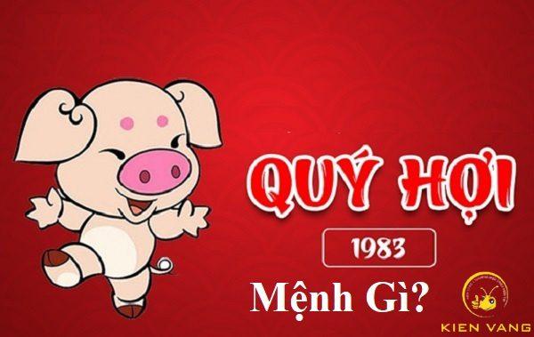 40 Tuổi Là Tuổi Con Gì? Review Tuổi Quý Hợi Năm 2022