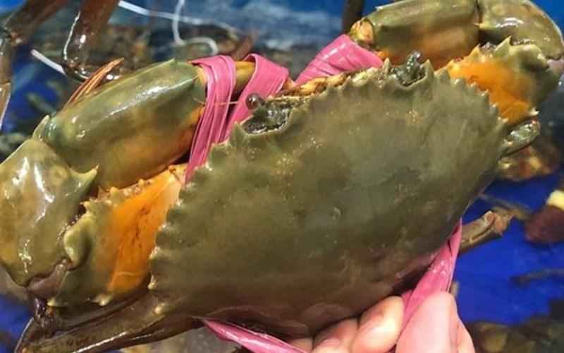 Mẹ 2 con chia sẻ cách trữ đông cua dùng suốt mùa hè