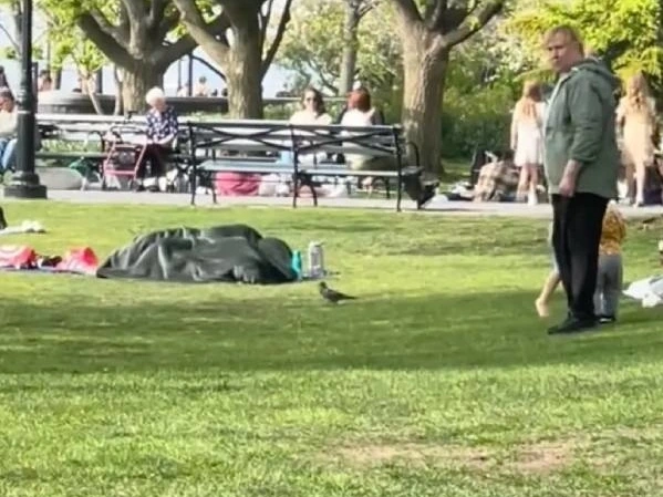Cặp đôi bị nghi ngờ làm chuyện ấy giữa công viên ngay trước mặt trẻ nhỏ - 1