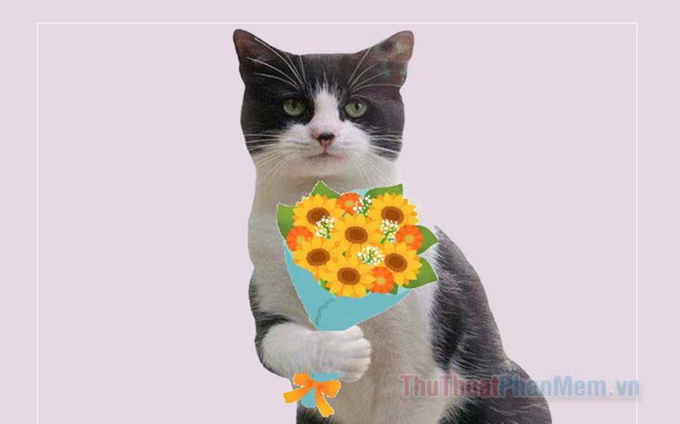 Tổng hợp meme mèo tặng hoa hài hước, cute, đáng yêu
