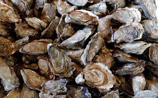 Giá bán: 390,000 đ