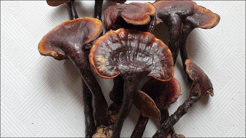 SỞ Y TẾ THÁI NGUYÊN