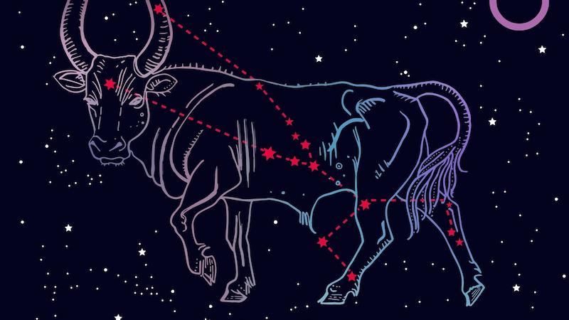 Tiết lộ bí mật: Cung Kim Ngưu và Nhân Mã có hợp nhau không?