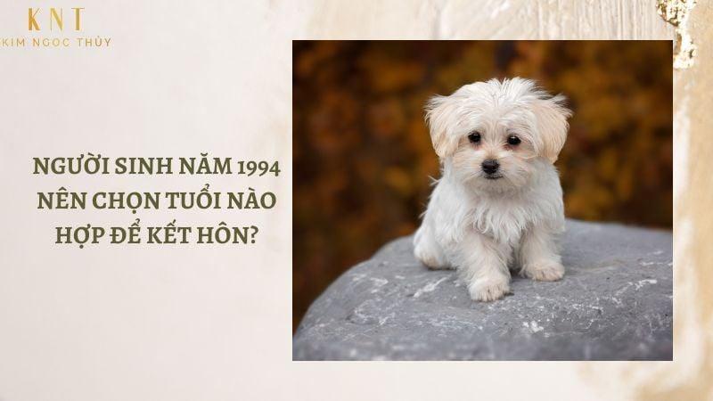 Tuổi Giáp Tuất lấy chồng năm nào? Tháng cưới đẹp nhất cho tuổi 1994