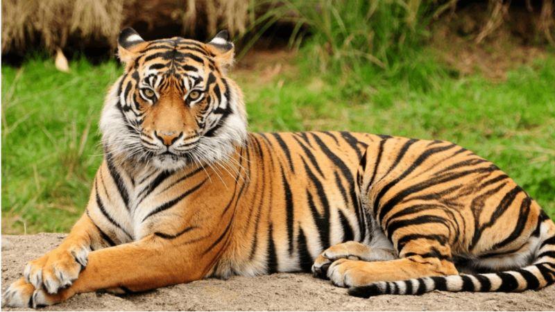 Sinh năm 2010 bao nhiêu tuổi?