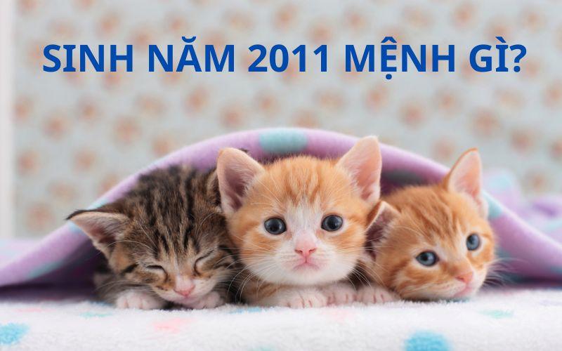 Gia chủ sinh năm 2011 tuổi Tân Mão khi tính theo âm lịch 