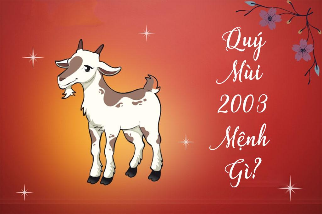 quy-mui-2003-menh-gi