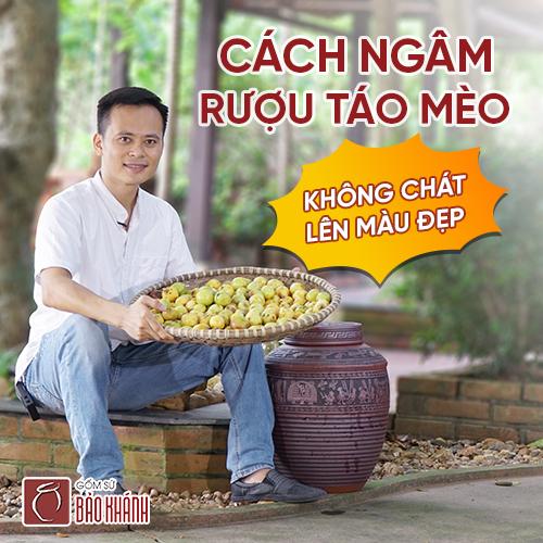 cách ngâm rượu táo mèo không bị chát