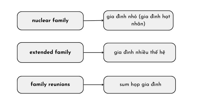 Từ vựng chủ đề Family