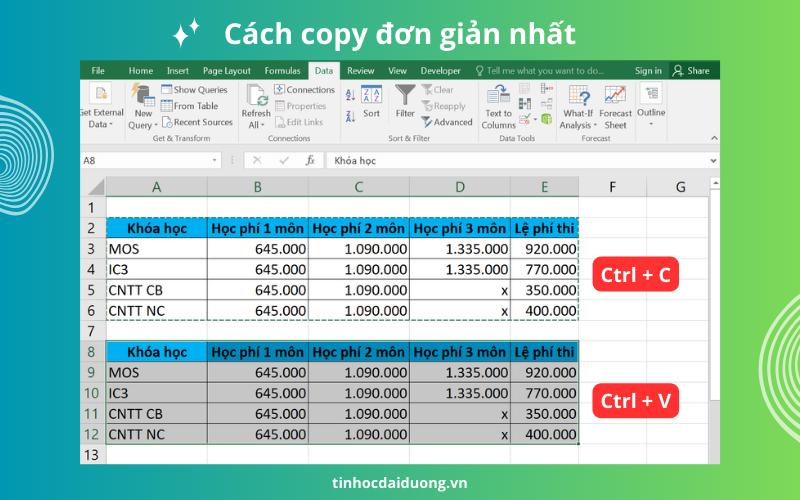 cách copy trong excel 2