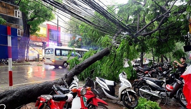 Các trường hợp bất khả kháng trong hợp đồng