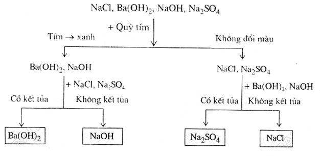 dap-an-bai-4