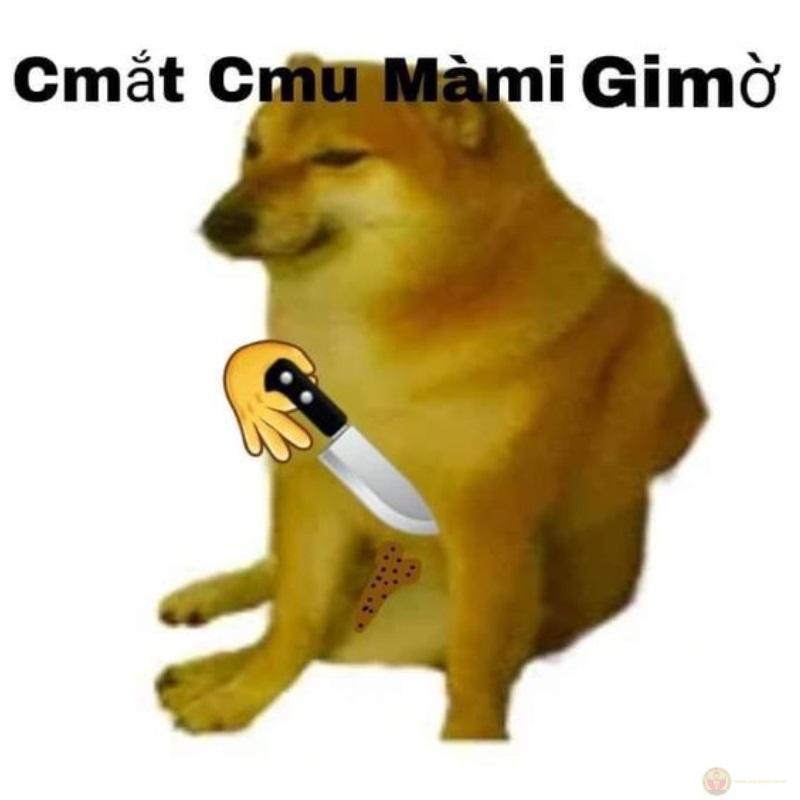 Meme Cheems Việt Nam