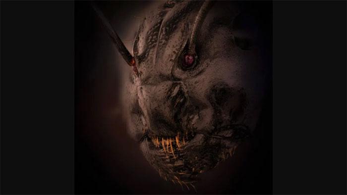 Bức ảnh bàn tay phôi thai tắc kè Madagascar đã đạt giải Nhất trong cuộc thi Nikon Small World 2022.