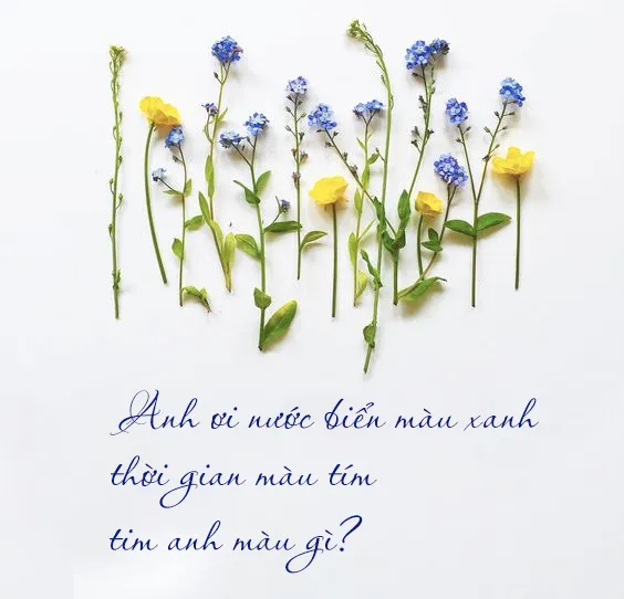 Những câu thơ hay về tình yêu khiến bạn bồi hồi thổn thức