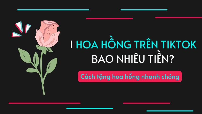 1 hoa hồng trên TikTok là bao nhiêu? Cách tặng hoa hồng nhanh chóng