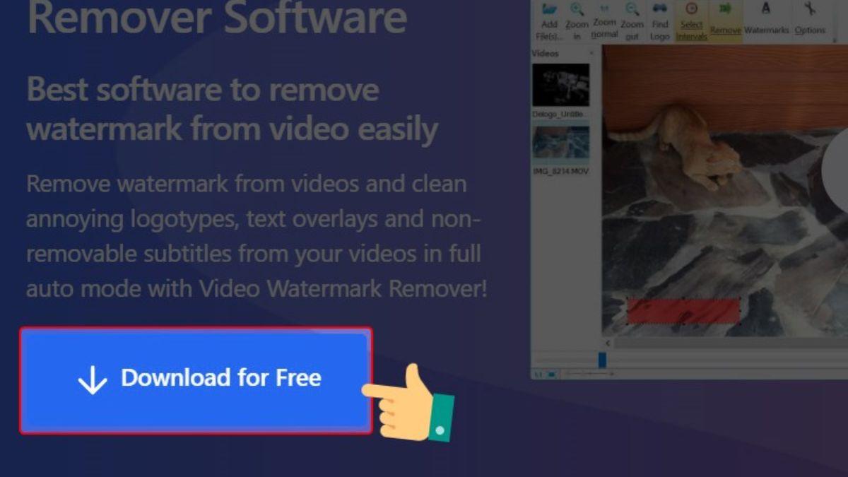 Cách xóa logo trên video bằng Remove Logo Now, bước 1