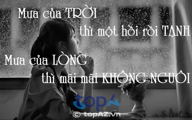 104 câu Status buồn dưới mưa, caption ngắn và cảm xúc ngày mưa