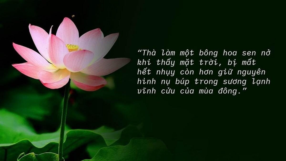 Những danh ngôn, câu nói hay về hoa ý nghĩa và lãng mạn nhất